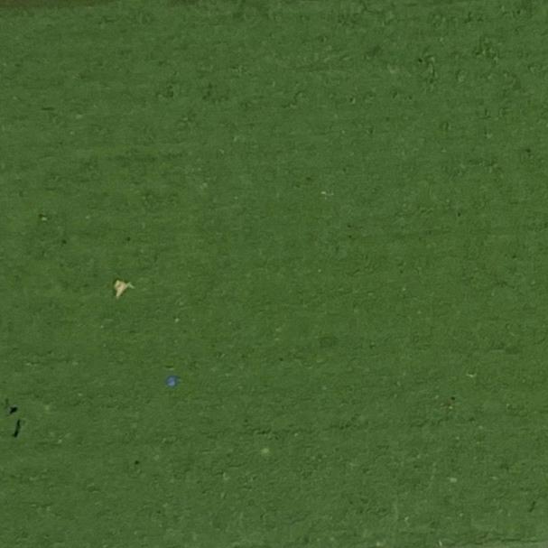 Milk Paint Grassy Green - Wood Tamer