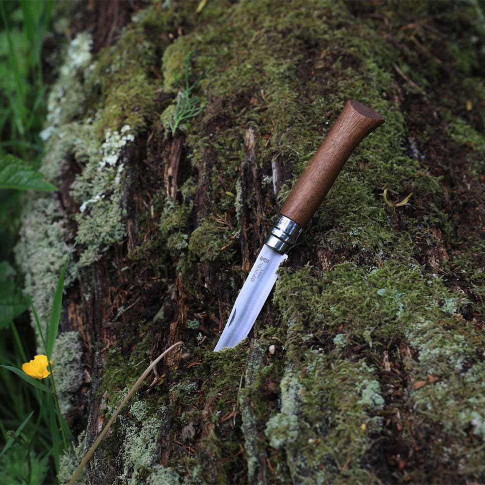 Opinel Traditional No8 Stainless Steel folding knife 8.5cm - Wood Tamer