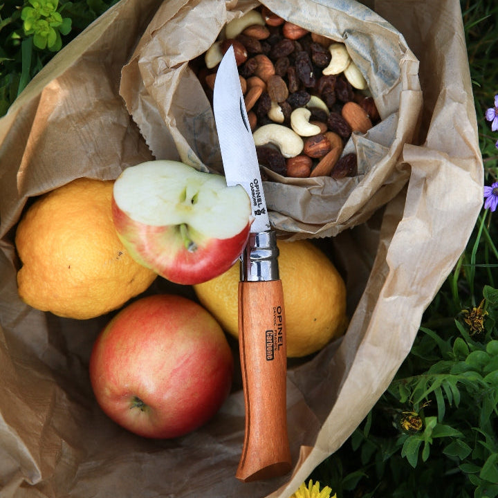 Opinel Traditional Classic N°10 Carbon Steel 10cm - Wood Tamer