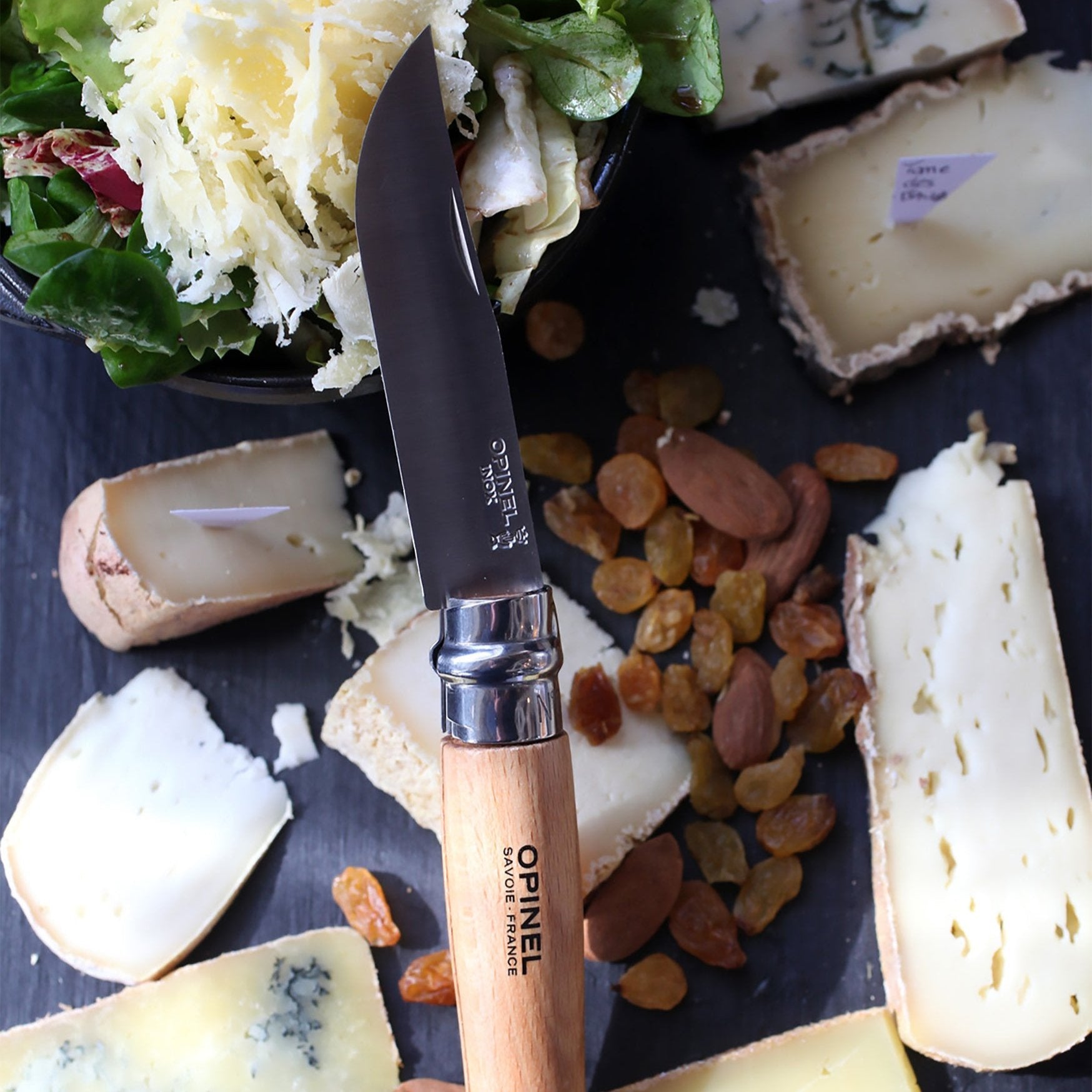 Opinel Traditional Classic N°10 Stainless Steel 10cm - Wood Tamer
