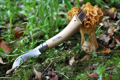 Opinel N°08 Mushroom + sheath - Wood Tamer