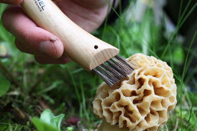 Opinel N°08 Mushroom + sheath - Wood Tamer