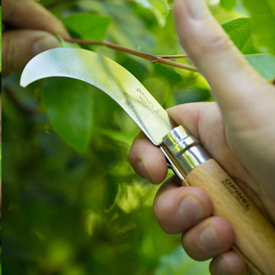 Opinel Pruning/Grafting Billhook Knife No10 S/S - 10cm Cardboard Box - Wood Tamer