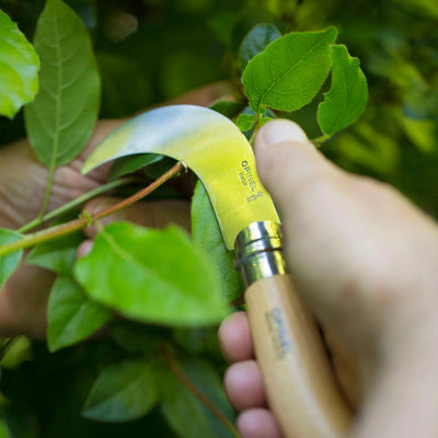 Opinel Pruning/Grafting Billhook Knife No10 S/S - 10cm Cardboard Box - Wood Tamer