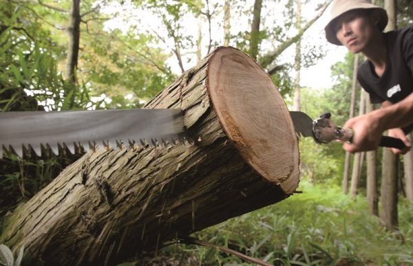 Silky KatanaBoy Folding Saw - Wood Tamer