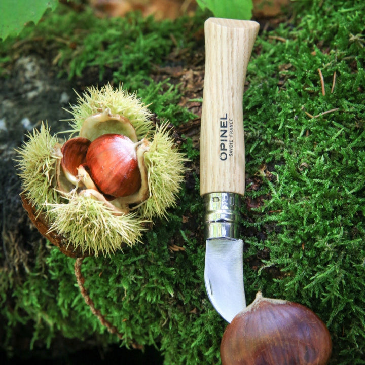 Opinel N°07 Chestnuts, Garlic & Pitt Knife - Wood Tamer
