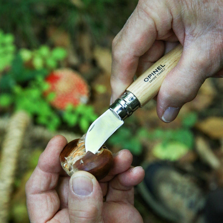 Opinel N°07 Chestnuts, Garlic & Pitt Knife - Wood Tamer
