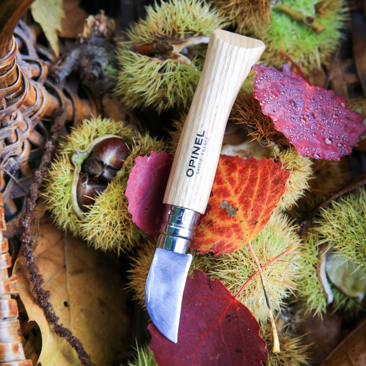 Opinel N°07 Chestnuts, Garlic & Pitt Knife - Wood Tamer