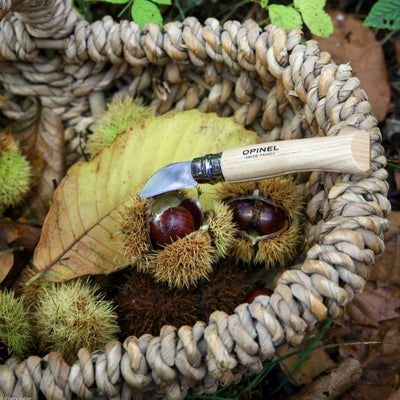 Opinel N°07 Chestnuts, Garlic & Pitt Knife - Wood Tamer