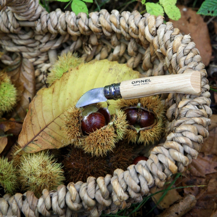 Opinel N°07 Chestnuts, Garlic & Pitt Knife - Wood Tamer