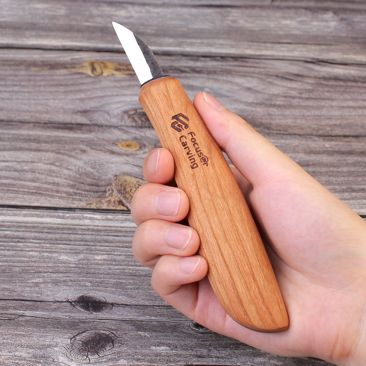 Focuser 52100 Forged Detail Knife - Wood Tamer